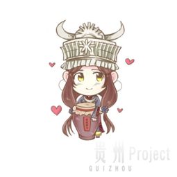 贵州project