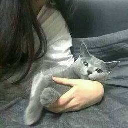 这两个是不是情侣头像