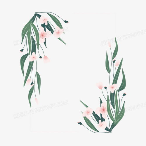 原创卡通植物花卉边框免抠手绘元素png图片素材免费下载手绘png20002000像素熊猫办公