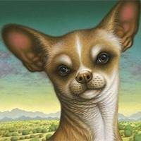 微信布娃娃头像图片微信头像图片大全