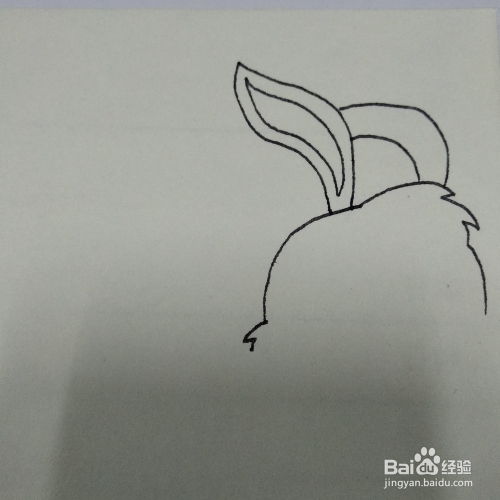如何画虹猫蓝兔动画片里的卡通角色儿童简笔画