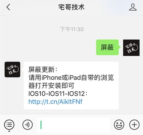 ios10ios13屏蔽系统更新描述文件去除设置小红点教程