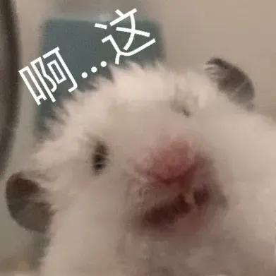 真仓鼠撩妹表情包整套萌图全是套路