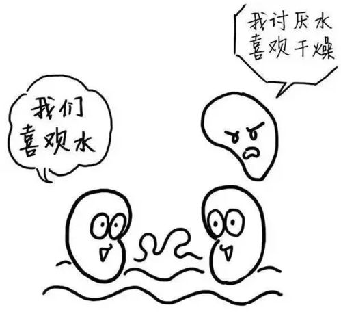 湿气是怎样形成的,一图秒懂漫画版