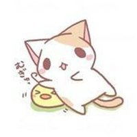 小清新猫咪动漫头像微信头像图片大全