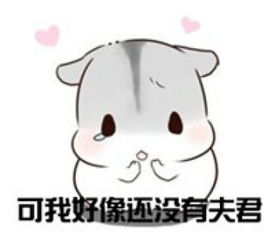hamham仓鼠表情包老公老婆全套仓鼠情侣专用表情包最新