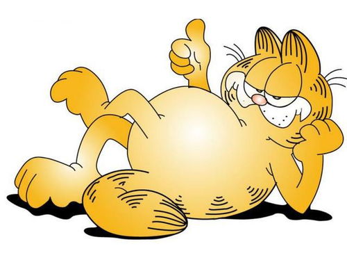 米老鼠加菲猫机器猫,哪个印在t恤上最萌还是皮卡丘最棒