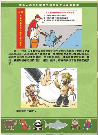 请传阅漫画图解新版野生动物保护法