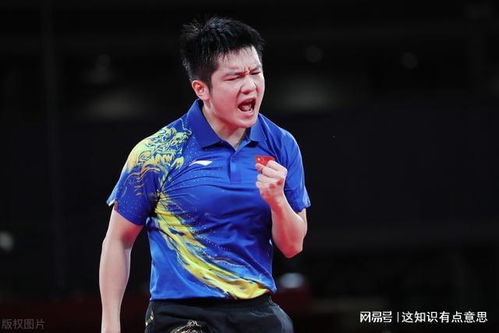 国乒3大男主力全部晋级,梁靖崑成为大黑马,但马龙小胖才是王者