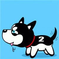狗狗哈士奇搞笑头像微信头像图片大全