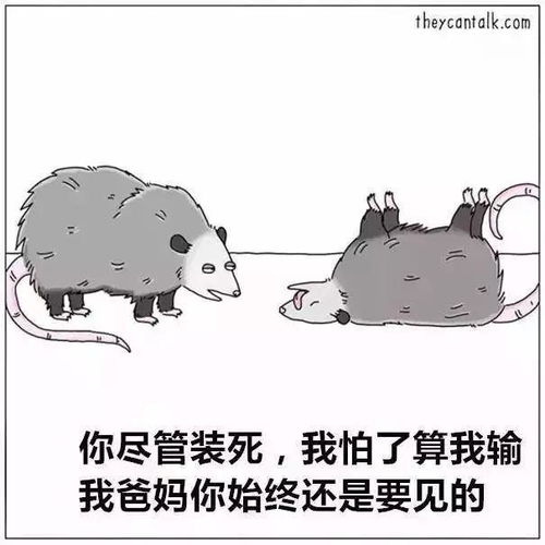 热点脑洞漫画如果动物会说话,一定会颠覆你的三观