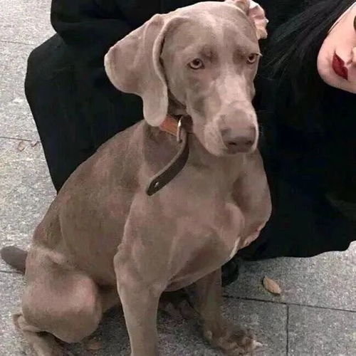 情侣头像丨最新的情侣头像抖音一男一女