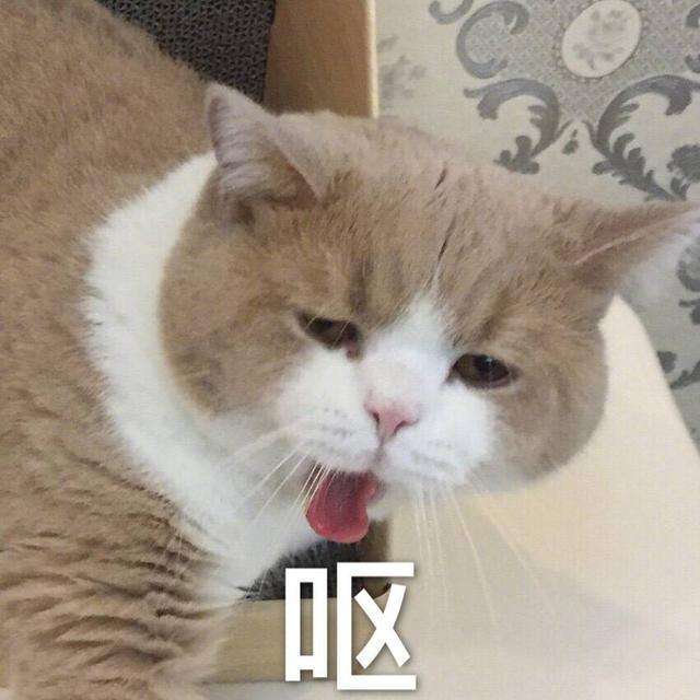 当孩子和情妇面暴打家妻,威胁她敢带走孩子就弄她全家,这个二婚男歌手太嚣张