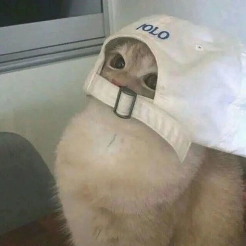 腾讯新闻