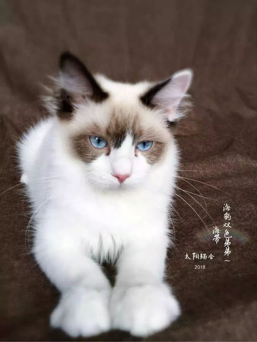 一个人的时候,只有他会陪在你身边