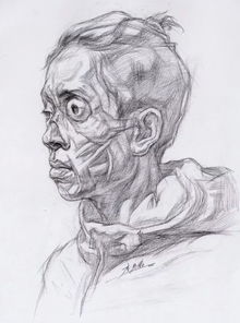 干货从静物到青年中年老年男女头像,高清素描结构图