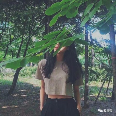 tessie公众号正式运营