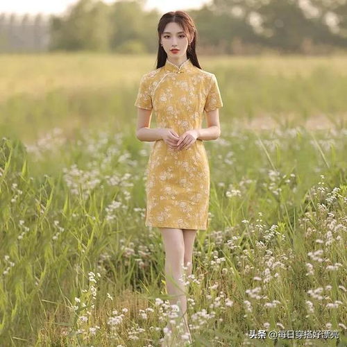 第57章黄色蕾丝年轻少女高端高贵气质旗袍