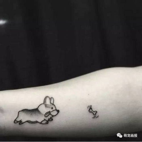 你想把自己家的狗狗纹在身上吗