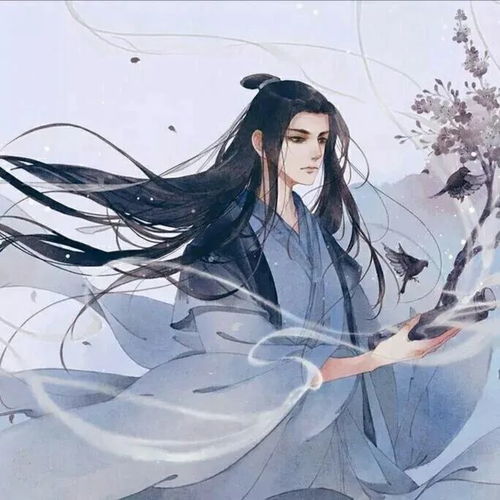古风男头翩翩少年郎,公子世无双