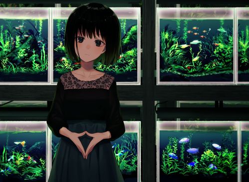 pixiv人气画师a作品48张