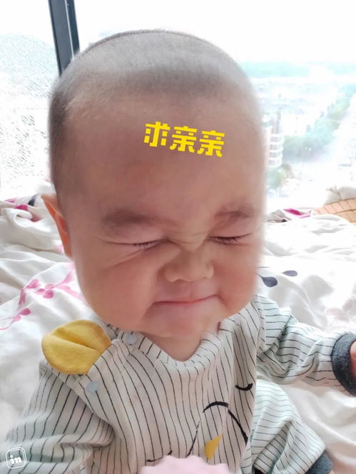 q版地图制作软件动漫头像制作app推荐
