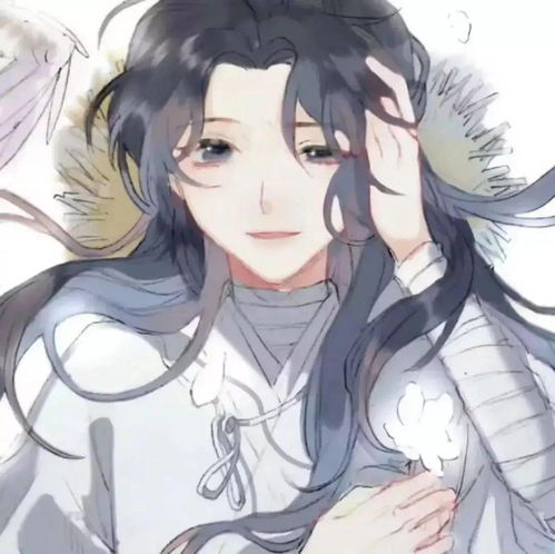 头像天官赐福and魔道祖师