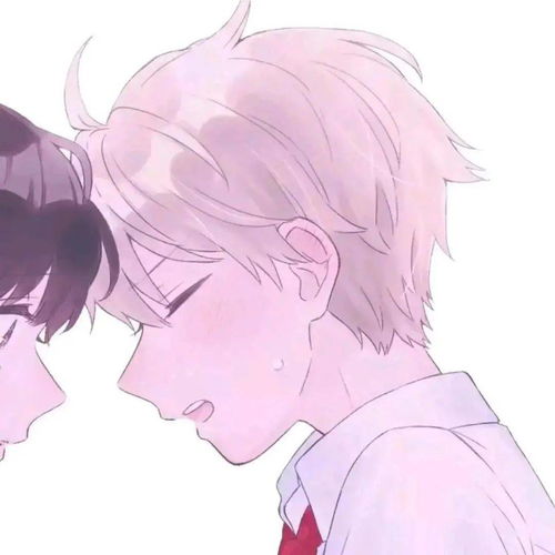 每日头像