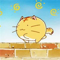 二次元卡哇伊小猫头像微信头像图片大全