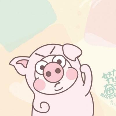 卡通猪头像,小恭猪萌友团卡通可爱图片
