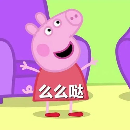 表情包情侣日常,单身狗快去拿去撩