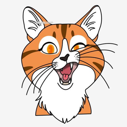 猫咪橘猫宠物可爱萌动物图片大小2000x2000px图片尺寸520.29kb来自png搜索网pngss.com免费免扣png素材下载宠物大脸怪动物橘猫橘色卡通卡通手绘可爱漫画猫猫咪萌手绘