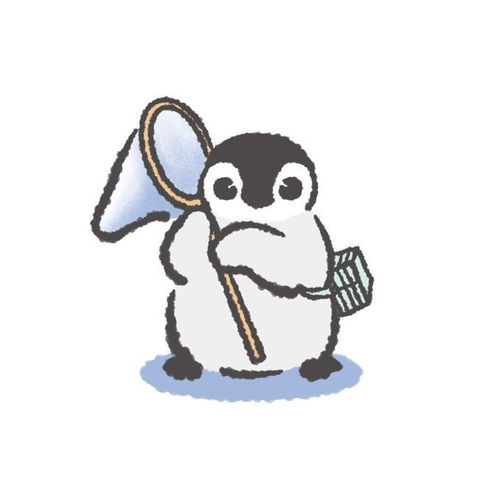 这只小小企鹅,想带回家了腾讯新闻