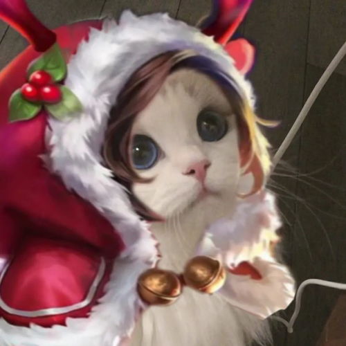 王者荣耀猫猫头像搬运第三弹