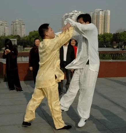 传统杨氏太极拳85式攻防35退步跨虎的用法