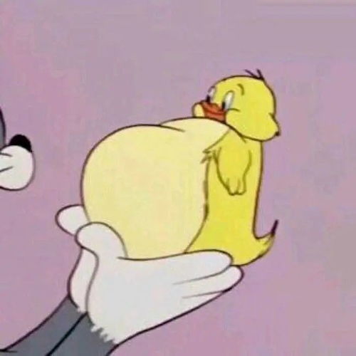 大型单身狗虐待现场哈哈哈