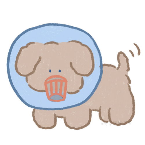 小狗狗能有什么坏心思呢头像