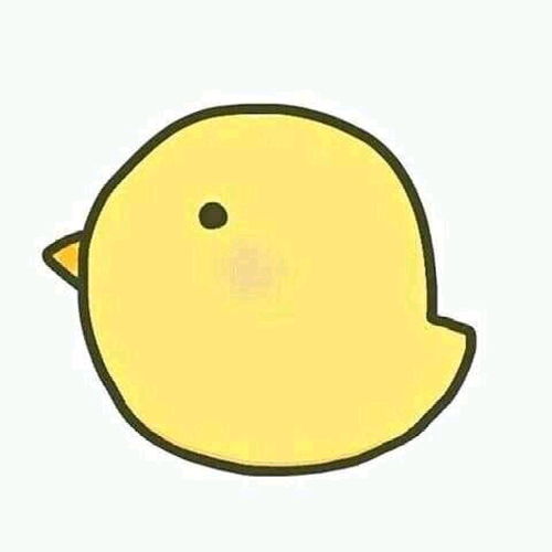 电视剧