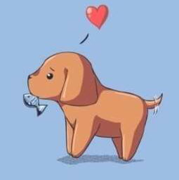 后来的我们完整版