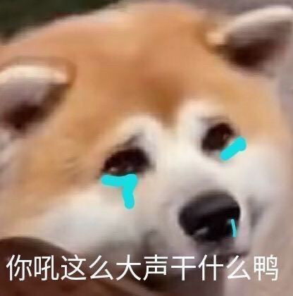 可爱有趣实用表情包
