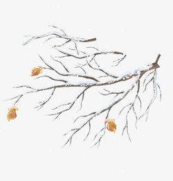 手绘雪枝树枝树叶图片免费下载高清png素材图精灵