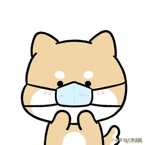 小动物们也戴上口罩啦