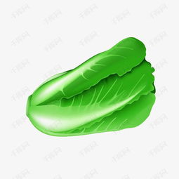 卡通白菜素材图片免费下载高清图片pngpsd千库网图片编号7259677