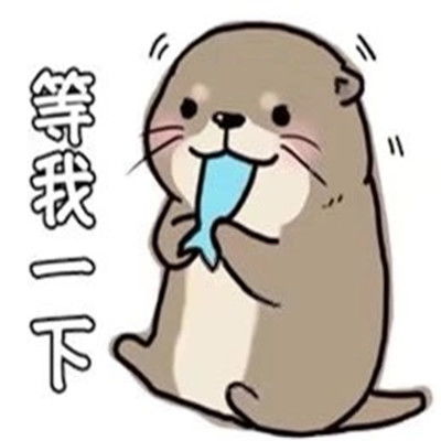 小水獭超萌可爱呆萌表情包合集很调皮很有意思的精选可爱表情