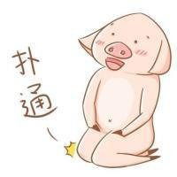 小猪吃白菜的情侣头像微信头像图片大全