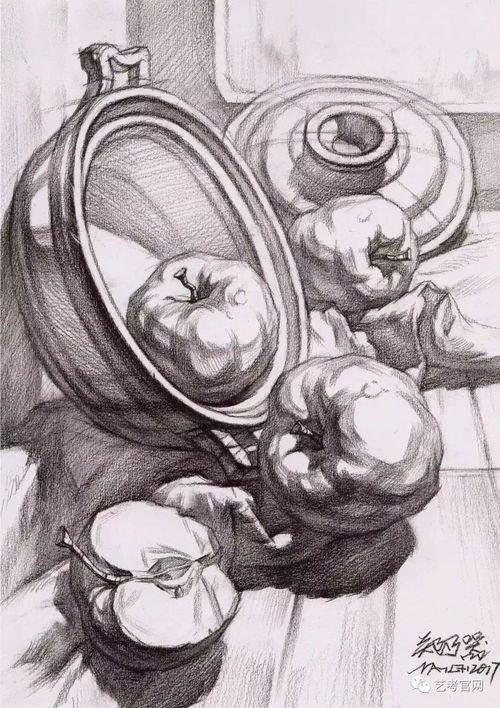 从静物到青年中年老年男女头像,高清素描结构图