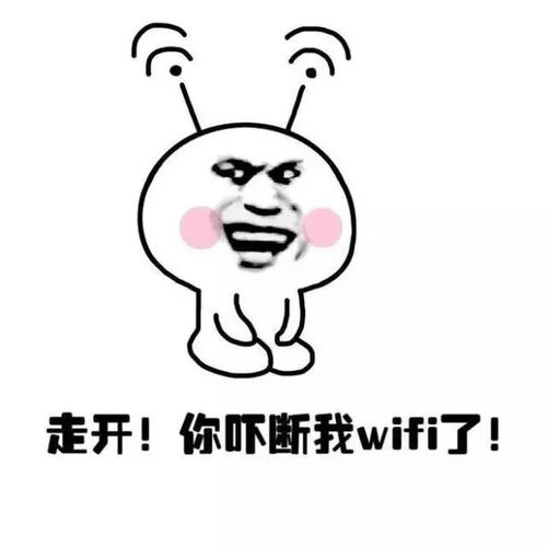 崇明将实现免费wifi重点区域全覆盖,内附覆盖区域名单