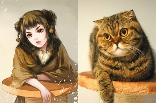 当猫咪拟人后,黑猫舔毛变魅惑,布偶猫眼神清澈