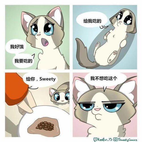 一组猫咪漫画,铲屎官看完都说太真实了