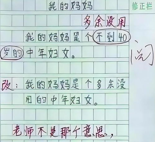 小学生作文苍蝇,无意中说出金句,写得很好下次别写了